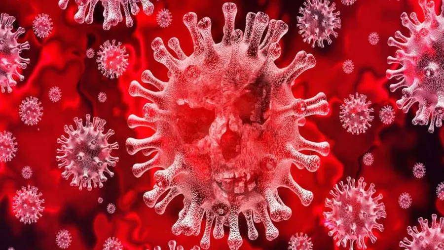 Coronavirus: continua il dato positivo per Vercelli, nessun nuovo caso