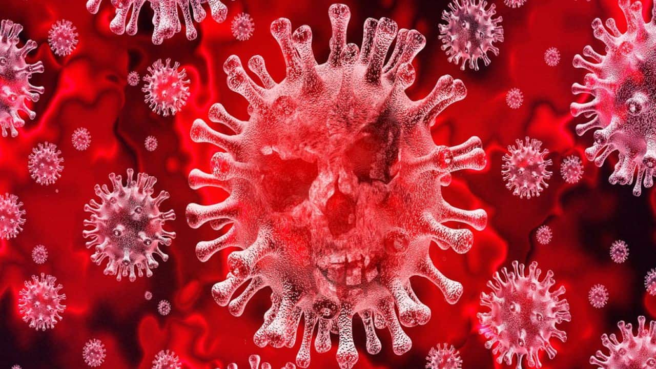 Coronavirus: continua il dato positivo per Vercelli, nessun nuovo caso