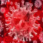 Coronavirus: continua il dato positivo per Vercelli, nessun nuovo caso